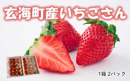 予約受付★平川いちご農園 佐賀県玄海町産いちご「いちごさん」2025年1月〜4月順次配送[D024]