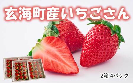 予約受付★平川いちご農園 佐賀県玄海町産いちご「いちごさんDX」2025年1月〜4月順次配送[D025]