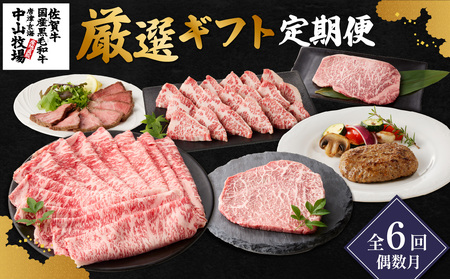 y6ijzRq IMtg ^ ꋍ T[C [X  ~ Ԑg [Xgr[t Xe[L XCX ؂ 󏭕 Ă Ԃ ē J[