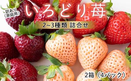 [2月〜4月 順次配送]玄海町産いろどりいちご詰め合わせ(家庭用・訳あり)[B190]