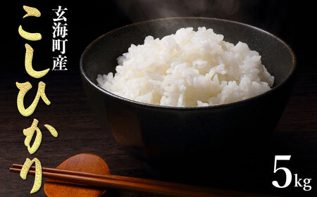 ꌧCYЂ 5kg ^      RVqJ Yn ʌ ꌧ C 퉷yB209z