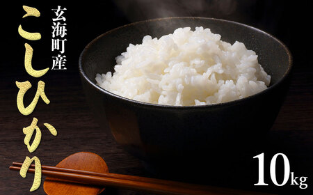 ꌧCYЂ 10kg ^      RVqJ Yn ʌ ꌧ C 퉷yB210z