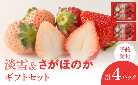 玄海町産白いちご「淡雪」と「さがほのか」DXギフトセット|食べ比べ 白苺 果物 フルーツ 旬[D026]