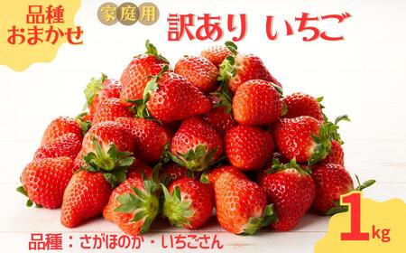 玄海町産いちご(家庭用・訳あり)1kg / さがほのか いちごさん 果物 フルーツ [D030]