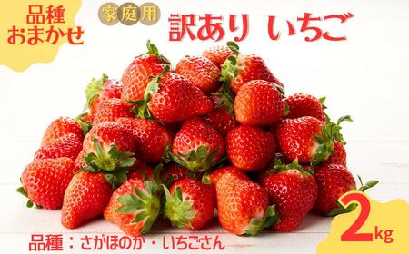 玄海町産いちご（家庭用・訳あり）2kg ／ さがほのか いちごさん 果物 フルーツ 【D031】