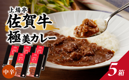 佐賀牛極美カレー(中辛)5箱|カレー カレー カレー カレー カレー[A108]