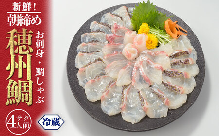 朝締め穂州鯛　サク4人前（3月配送）【B125-03】