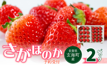 予約受付★杉山いちご農園 佐賀県玄海町産いちご「さがほのか」2025年1月〜4月順次配送[B158]