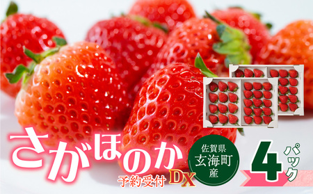 予約受付★杉山いちご農園 佐賀県玄海町産いちご「さがほのかDX」2025年1月〜4月順次配送[B159]