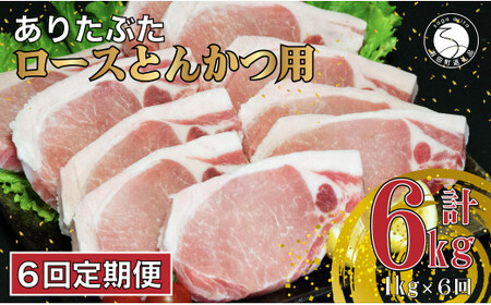 y6 v6kgz 肽Ԃ [X Ƃ񂩂p 1kg (1100g×10pbN) 6   ^pbN ؓ N60-3