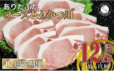 y12 v12kgz 肽Ԃ [X Ƃ񂩂p 1kg (1100g×10pbN) 12   ^pbN ؓ N120-4