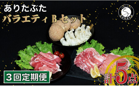 [3回定期便 豚肉5種セット] ありたぶた バラエティBセット (豚肉5種) 3回 定期便 小分け 真空パック 豚肉 ロース バラ モモ もも 赤身 ハンバーグ 餃子 N30-33