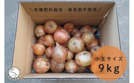 [小玉サイズたまねぎ約9キロ]有機肥料栽培・除草剤不使用 玉ねぎ 9kg 輝ファーマーズ たまねぎ 小ぶり お料理 F12-35