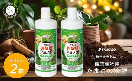 「たまごの液肥」オーガナブル (観葉植物用) 800ml 2本セット ENEGGO株式会社 肥料 有機 サステナブル 園芸 ガーデニング 野菜 V8-2