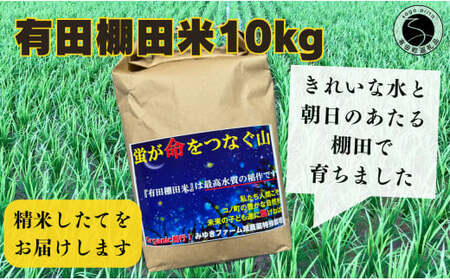 【新米を発送！】みゆきファーム 有田 棚田米 10kg 精米したてを生産農家から直送！食味ランキング最高ランクの特A品種（さがびより/夢しずく） K14-10