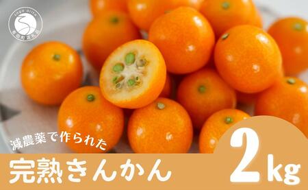 【減農薬栽培】 甘くてジューシー！有田産完熟金柑2kg - オリジナルボックス入り 有田産 【JA伊万里きんかん部会-有田】 ビタミンC ポリフェノール 完熟 安心 安全 贈り物 ギフト 佐賀県産特別栽培認証 F10-25