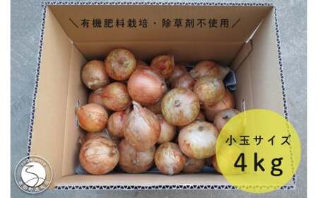 [小玉サイズたまねぎ約4キロ]玉ねぎ 4kg 有機肥料栽培・除草剤不使用 輝ファーマーズ F8-7