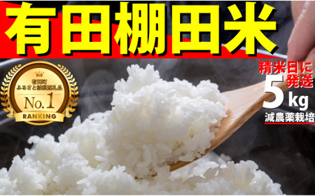 \ty10{菇zyʌzߘa7NY Lc Ic 5kg āy݂䂫t@[zč  5kg _ organic Ic Lc ߘa7NxY V K14-12