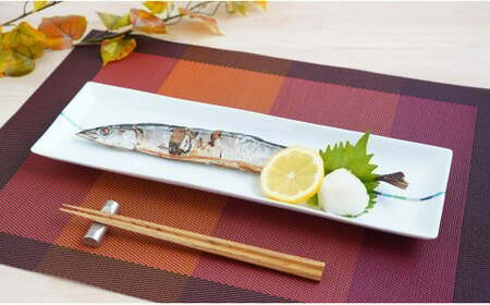 有田焼 irodoriライン パーティー長皿 2枚セット[よう楽庵・たかす]食器 うつわ 器 磁器 陶磁器 皿 長皿 長角皿 プレート 2枚 セット ペア 彩 パーティー 盛皿 魚 和食 洋食