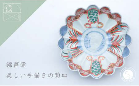 有田焼 錦菖蒲 菊形6.5寸皿 まるぶん A20-384