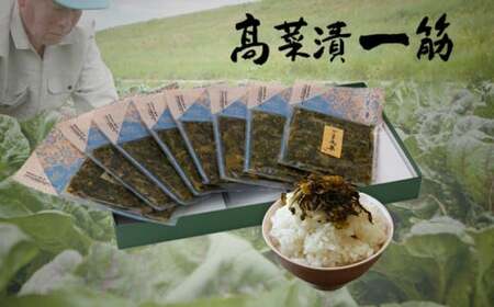 高菜漬 高菜乃華 8個入りセット 高菜漬一筋-前田食品工業 F12-9