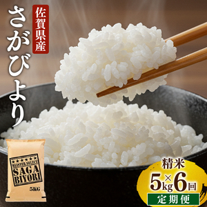 ＜先行予約＞ [令和7年産] ＜定期便6回＞ 特A評価 さがびより 白米 5kg×6回