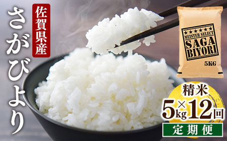 s\ [ߘa7NY] 12 A] т  5kg×12