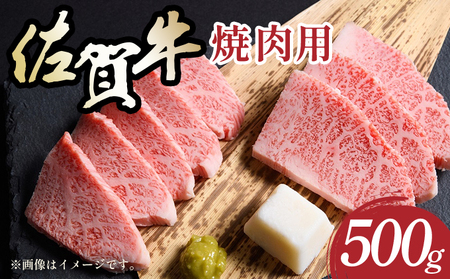 艶さし![A4〜A5]佐賀牛焼肉用 500g [36mp-001]