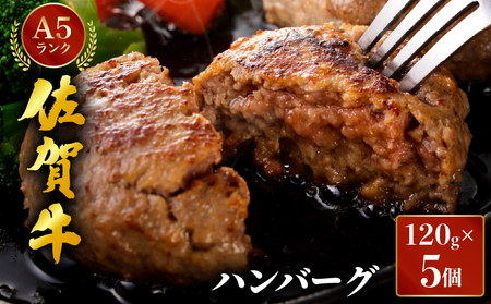 佐賀牛ハンバーグ 120g×5個/ ふるさと納税 ハンバーグ 便利 佐賀県 大町町 冷凍