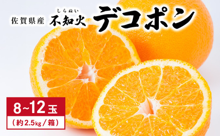[先行予約] 佐賀産 デコポン8〜12玉(約2.5kg箱) 41nf-004