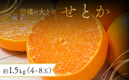 [先行予約]みかんの「大トロ」佐賀産かんきつ・せとか 約1.5kg(4-8玉) / ふるさと納税 佐賀 フルーツ濃厚 甘い 酸味 大町 贈答 ギフト 贈り物