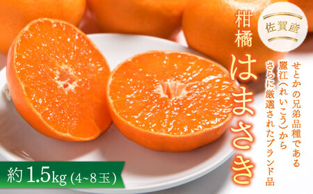 [先行予約]佐賀産柑橘「はまさき」 約1.5kg(4-8玉) / ふるさと納税 佐賀 フルーツ濃厚 甘い 酸味 大町 贈答 ギフト 贈り物