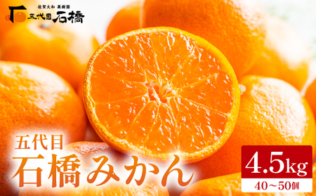 ܑڂ݂4.5kg^ӂ邳Ɣ[  ݂ IW t[cZ Â _ 咬  Mtg 蕨 42ik-001