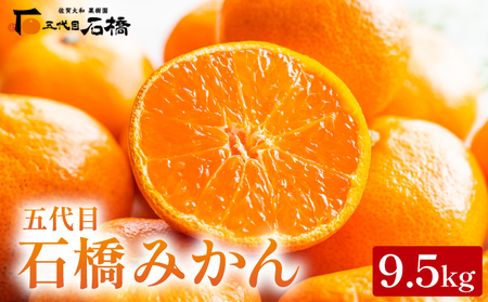 ܑڂ݂9.5kg^ӂ邳Ɣ[  ݂ IW t[cZ Â _ 咬  Mtg 蕨 42ik-002