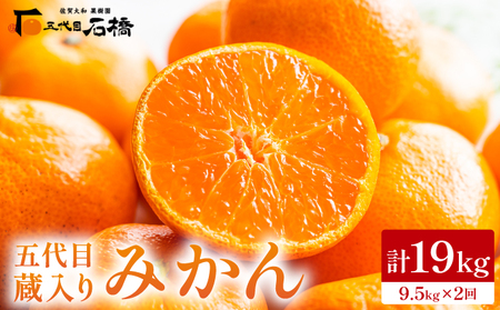 ܑځE݂9.5kg×2^ӂ邳Ɣ[  ݂ IW t[cZ Â _ 咬  Mtg 蕨 42ik-006