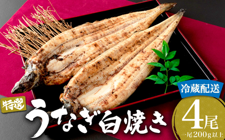 ＜2026年6月配送＞うなぎ白焼き 800g (200g×4尾) 