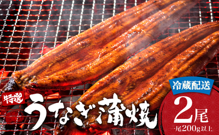 ＜土用の丑の日（7月26日）着＞うなぎ蒲焼き 400g (200g×2尾) 