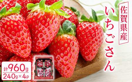 佐賀県産 いちごさん960g(240g×4P)3月〜4月発送