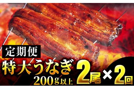 [定期便2回] うなぎ蒲焼き 計800g (200g×2尾×2回)