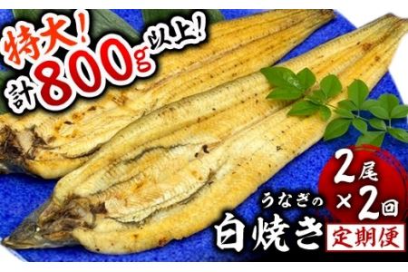 [定期便2回] うなぎ白焼き 計800g (200g×2尾×2回)