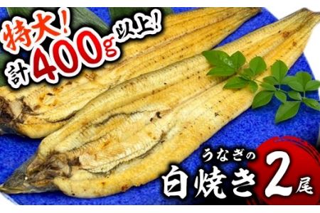 うなぎ白焼き 400g (200g×2尾)