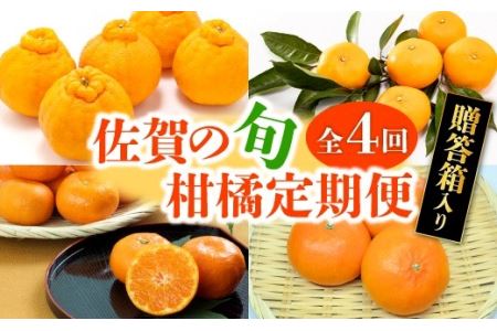 みかん・レモン・柑橘類の返礼品 検索結果 | ふるさと納税サイト「ふる