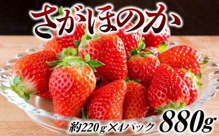 いちご 飲料の返礼品 検索結果 | ふるさと納税サイト「ふるなび」