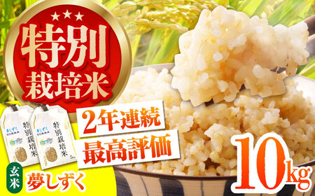 ߘa7NY V ʍ͔|āuv10kg [HAG023]