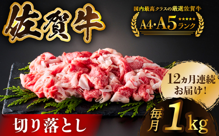 S12ցꋍ؂藎Ƃ500g×2pbN HCS034 ꋍ