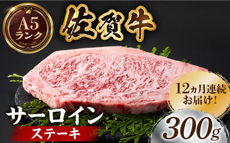 S12ցꋍT[CXe[L300 HCS055 Xe[L 