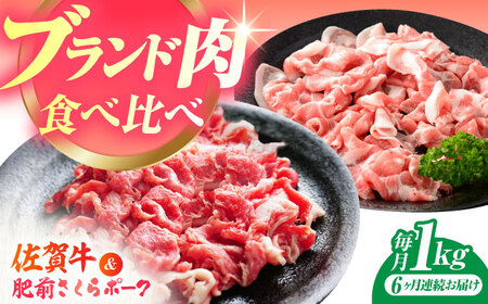 yS6ցz̓ igZbgiꋍEO|[Nj [HAM080]јa  ؓ Ԃԗp 