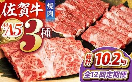 yS12ցzꋍēZbgi/J^Ԑg/[Xjygˁz HCW011 ē BBQ