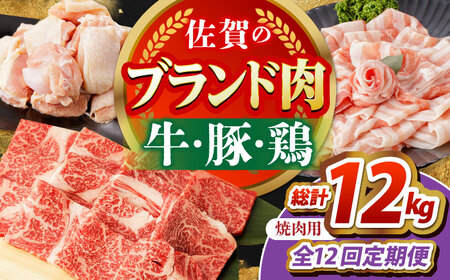[全12回定期便]佐賀のお肉焼肉セット(牛肉・豚肉・鶏肉)[吉祥] HCW020 焼肉 BBQ
