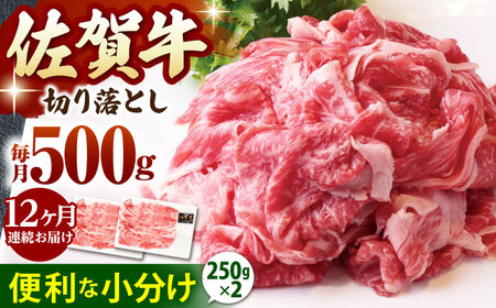 [全12回定期便]佐賀牛 A5 切り落とし 500g(250g×2パック) [HAD158] 佐賀牛 佐賀牛 佐賀牛 佐賀牛 佐賀牛 佐賀牛